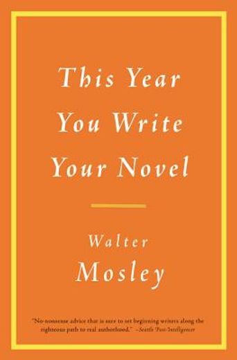 this year you write your novel (in English)