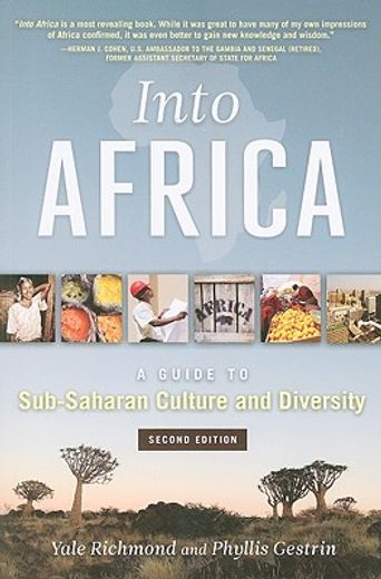 Into Africa: A Guide to Sub-Saharan Culture and Diversity (en Inglés)