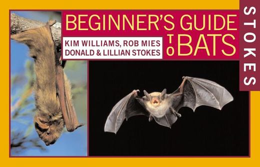 stokes beginner´s guides to bats