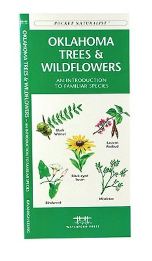 oklahoma trees & wildflowers,an introduction to familiar species