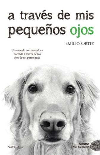 A Traves de MIS Pequeños Ojos (in Spanish)