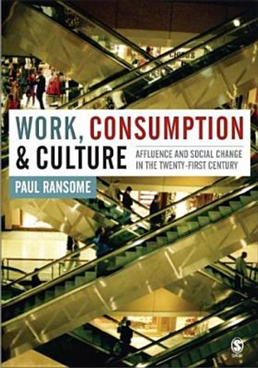 work, consumption and culture,affluence and social change in the twenty-first century