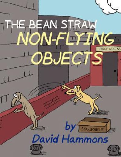 bean straw: non-flying objects (en Inglés)