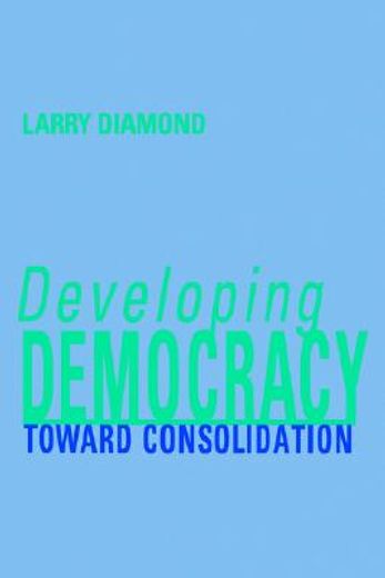 developing democracy,toward consolidation
