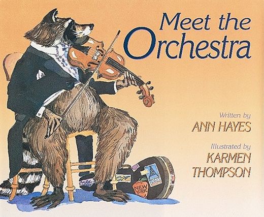 meet the orchestra