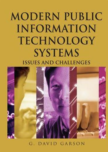 modern public information technology systems,issues and challenges