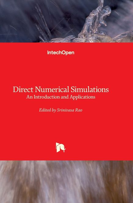 portada Direct Numerical Simulations. An Introduction and Applications (en Inglés)