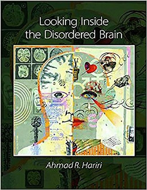 Looking Inside the Disordered Brain portada Looking Inside the Disordered Brain