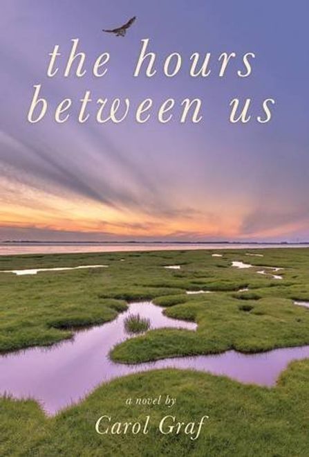 The Hours Between Us portada The Hours Between Us